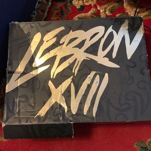 Labron 17 graffitis